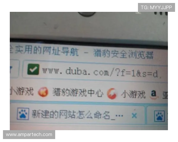 如何快速找到完美电竞平台官网网址及确保安全访问的方法